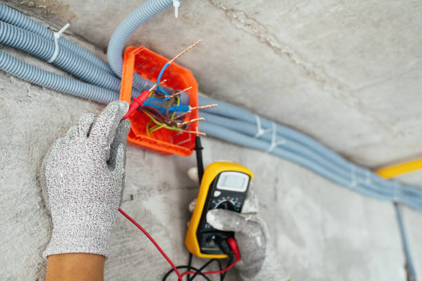Best Licensed Electrician  in Heyworth, IL